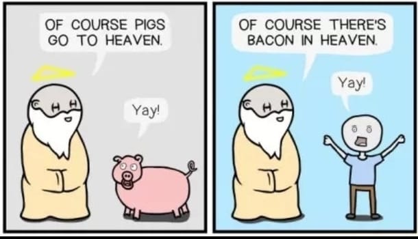 Best Bacon Memes - 25+ Funny Images Celebrating Bacon Humor pigs and bacon in heaven funny graphic
