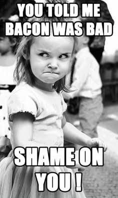Best Bacon Memes - 25+ Funny Images Celebrating Bacon Humor girl mad says shame on you you told me bacon was bad