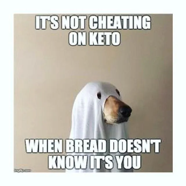 dog hiding in sheet cheating on keto