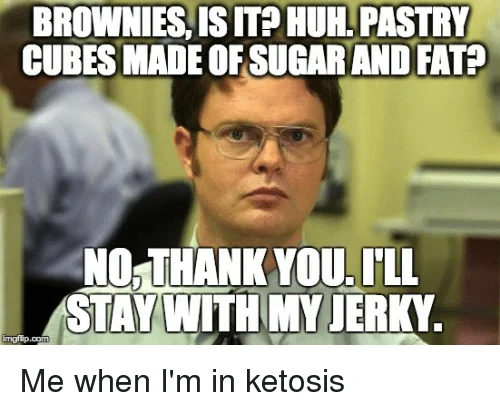 Dwight Knows. ketosis meme - Brownies, is it? Huh. Pastry cubes made of sugar and fat? No, thank you. I'll stay with my jerky.