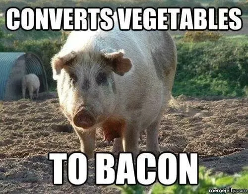photo of pig that says converts vegetables to bacon
