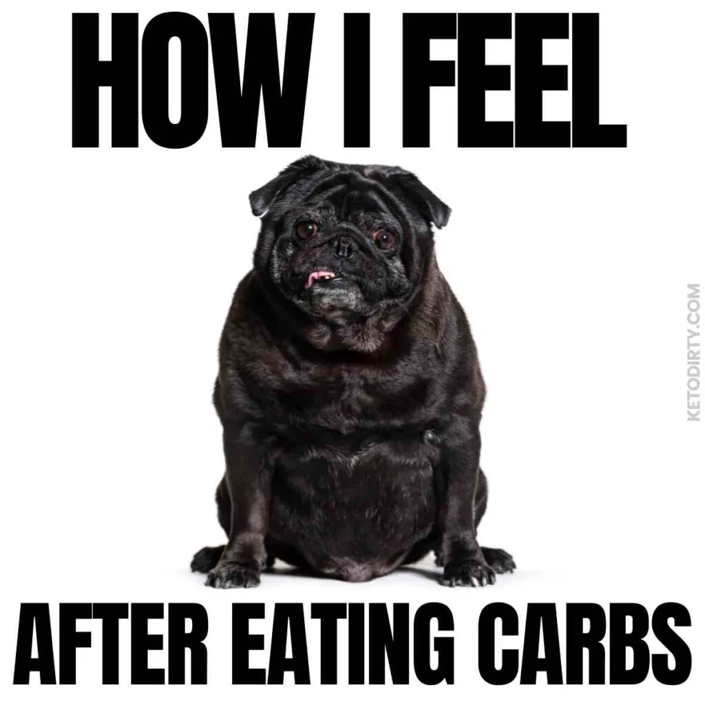 Keto Memes - 50+ Funny About Low Carb, No Sugar and More 6 how i feel after eating carbs