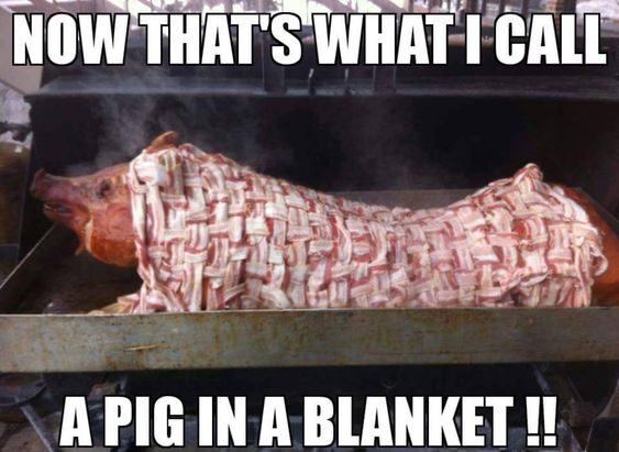 pig in a blanket meme about bacon