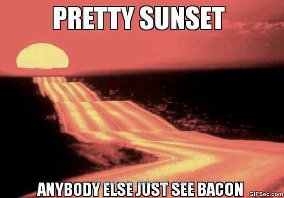 Best Bacon Memes - 25+ Funny Images Celebrating Bacon Humor sunset or bacon meme