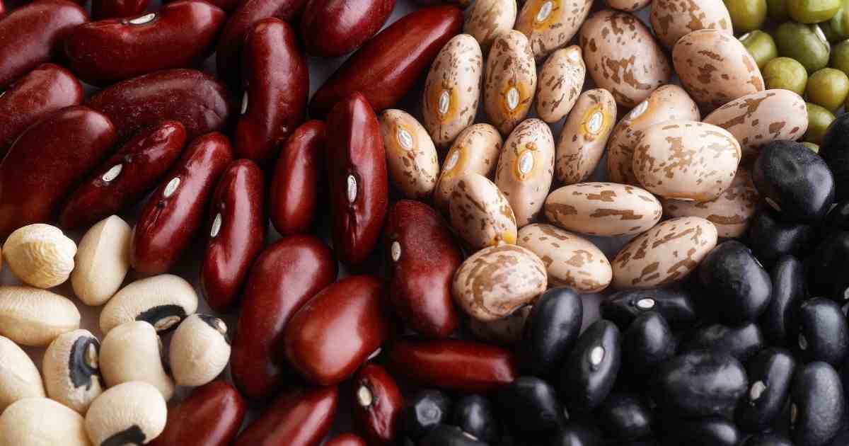 beans on keto