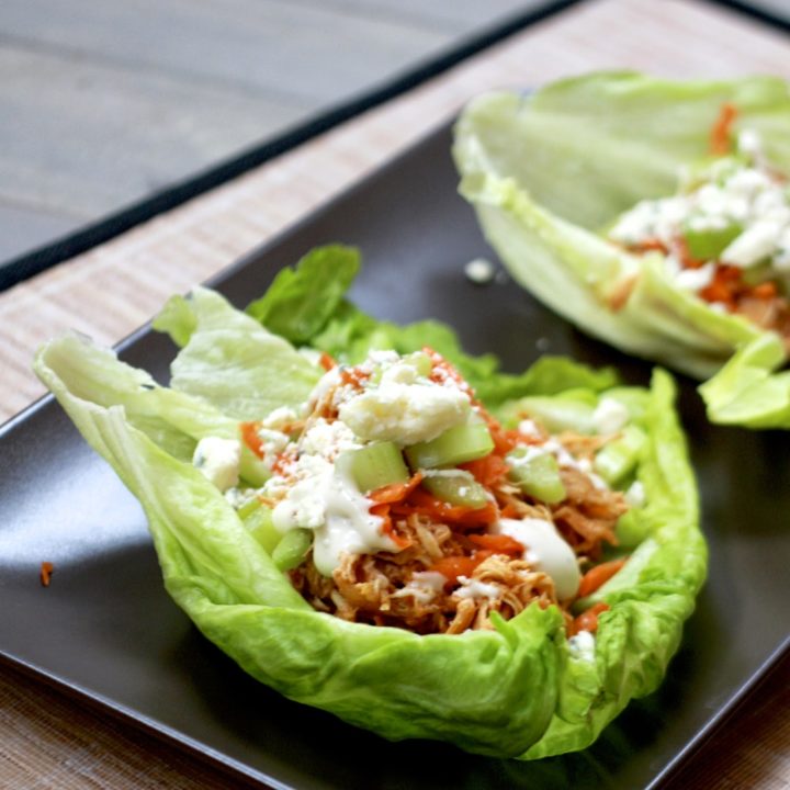 IMG 8290 - 75+ Keto Crockpot Recipes - Delicious Slow Cooker Low Carb Meals