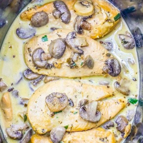 Slow cooker creamy chicken marsala keto recipe picture - 75+ Keto Crockpot Recipes - Delicious Slow Cooker Low Carb Meals