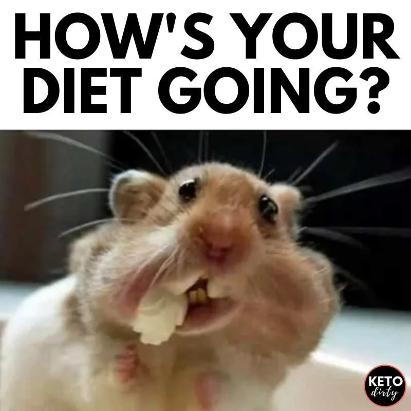 hows your diet going meme