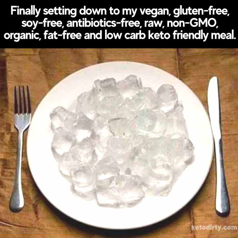 ice diet meme funny dieting humor -Finally setting down to my vegan, gluten-free, soy-free, antibiotics-free, raw, non-GMO, organic, fat-free and low carb keto friendly meal.