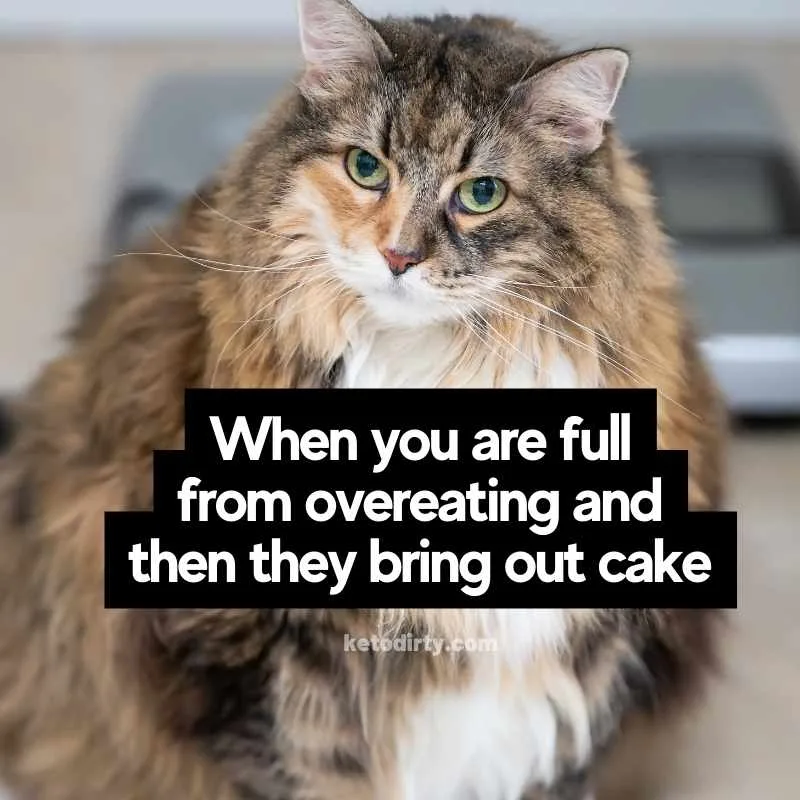 Diet Memes - 35+ Funny Dieting Pictures and Images 13 overeating meme funny when you are full from overeating and then they bring out cake