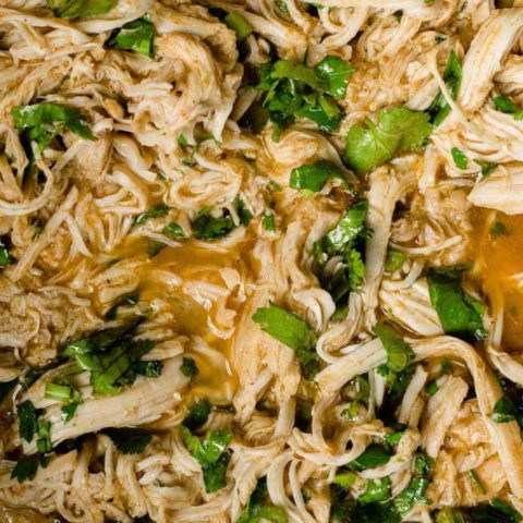 slow cooker cilantro lime chicken 5 - 75+ Keto Crockpot Recipes - Delicious Slow Cooker Low Carb Meals