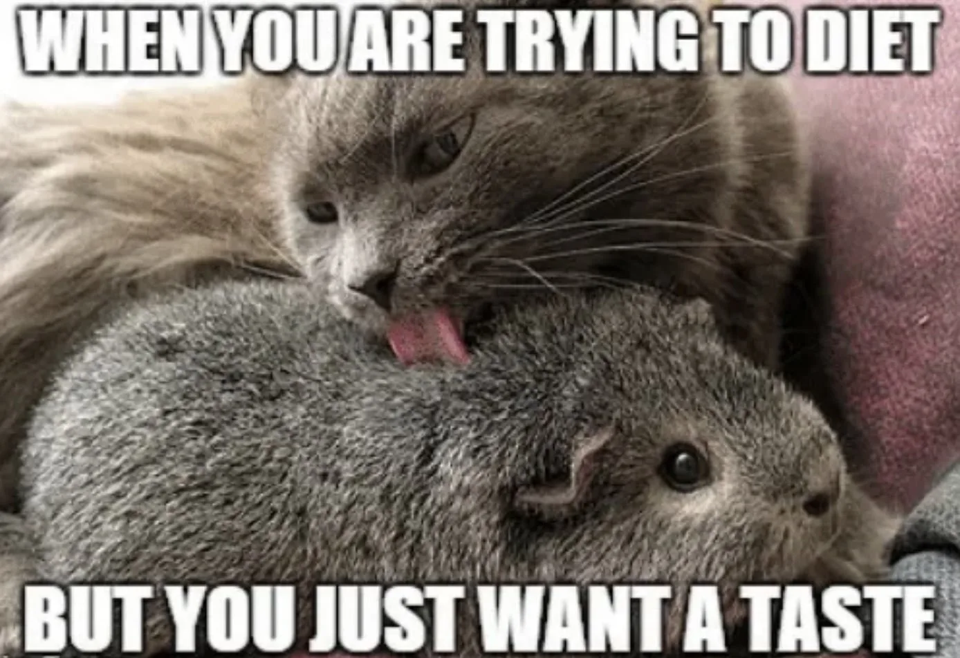 when you just want a taste meme when you just want a taste meme