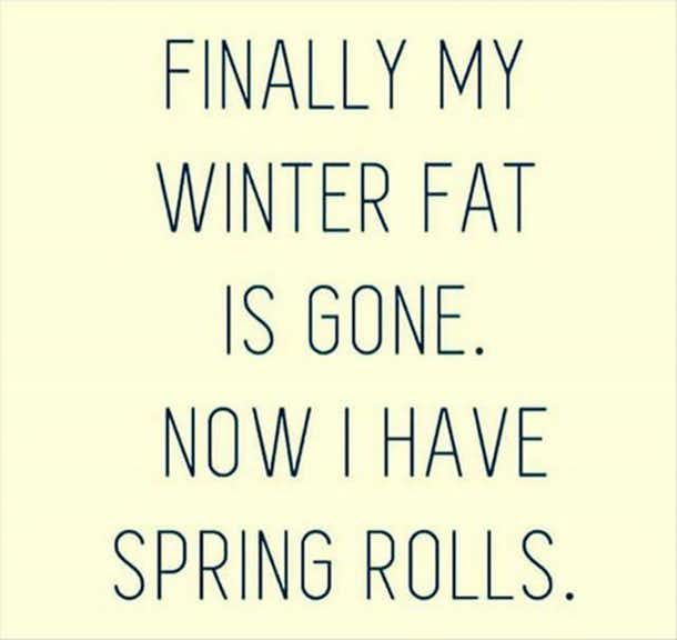 winter fat spring rolls