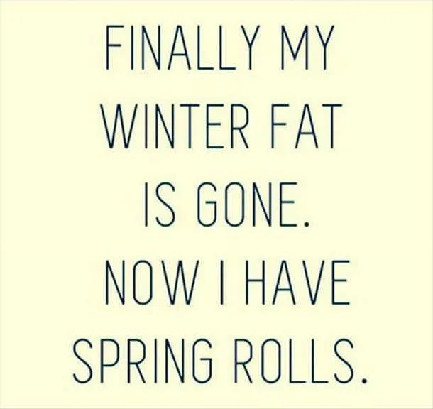 winter fat spring rolls winter fat spring rolls
