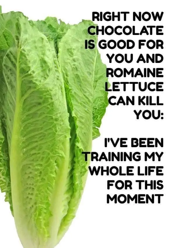 lettuce recall meme