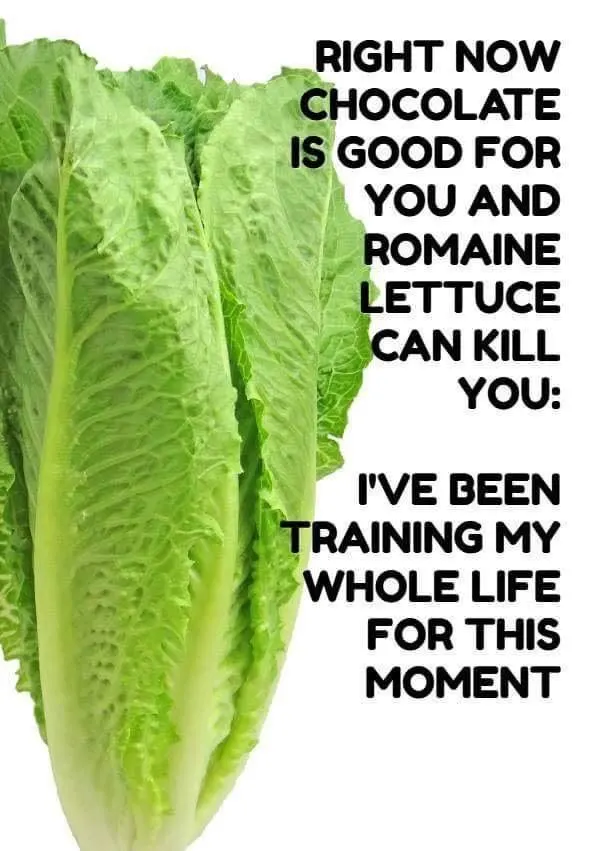 lettuce recall meme lettuce recall meme