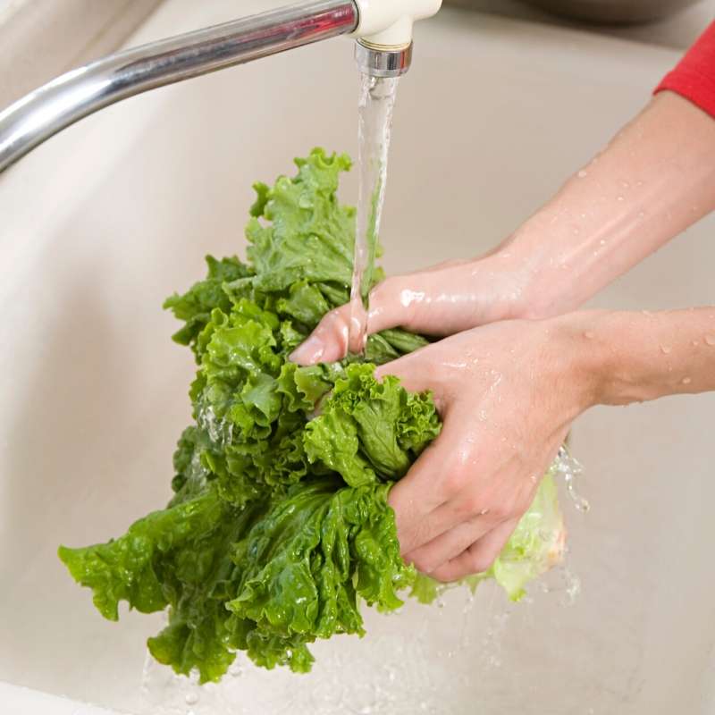 washing lettuce with water