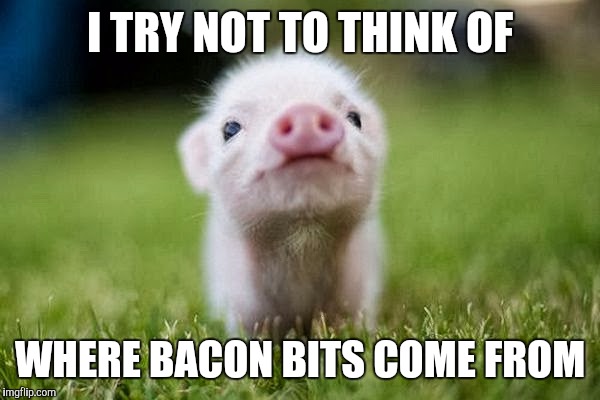 Best Bacon Memes - 25+ Funny Images Celebrating Bacon Humor bacon bits meme