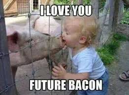 Best Bacon Memes - 25+ Funny Images Celebrating Bacon Humor i love you future bacon meme