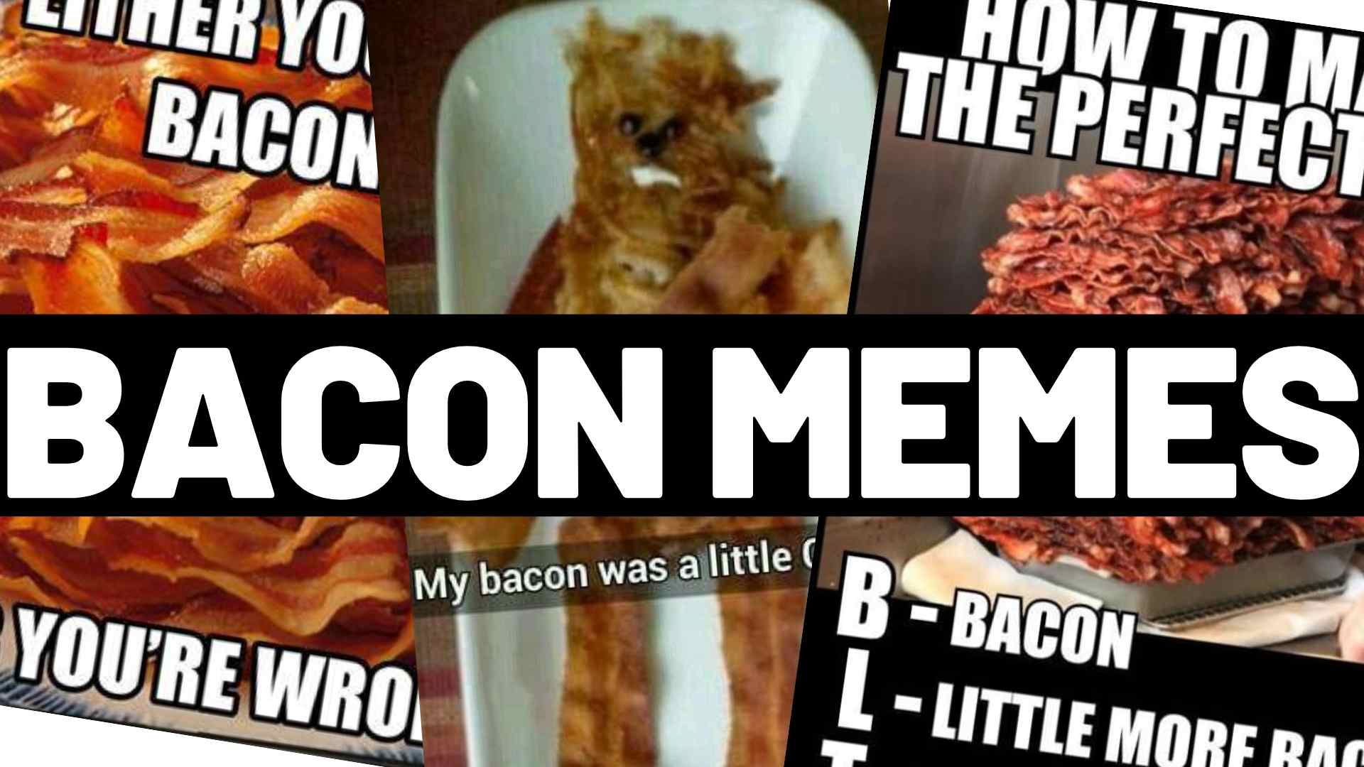 meme about bacons