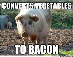 vegetarian bacon meme