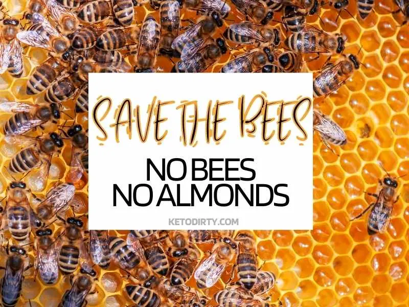 no bee no almonds save the bees