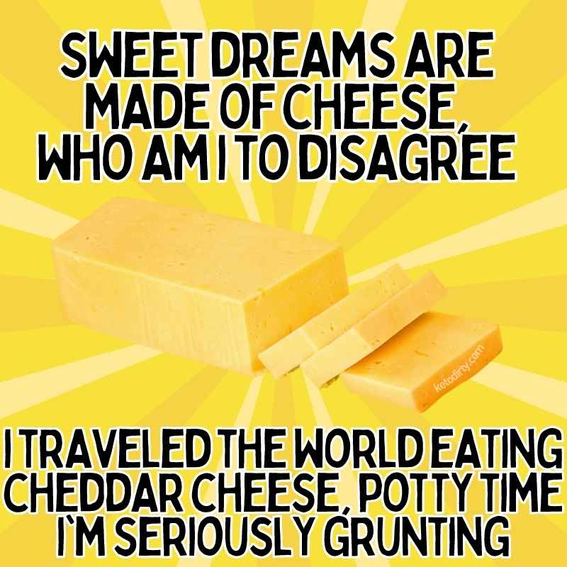 Funny Cheese Memes - 30+ Laughs for the Cheesy cheddar cheese meme sweet dreams are made of cheese, who am i to disagree i traveled the world eating cheddar cheese, potty time i'm seriously grunting