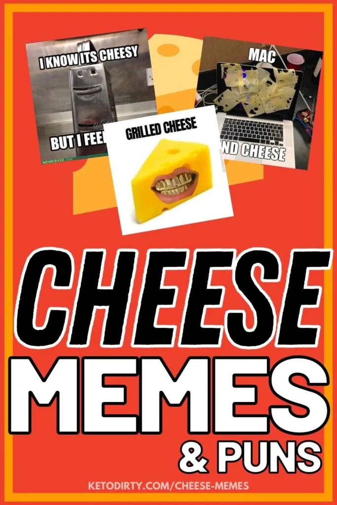 Funny Cheese Memes - 30+ Laughs for the Cheesy 1 cheese memes funny