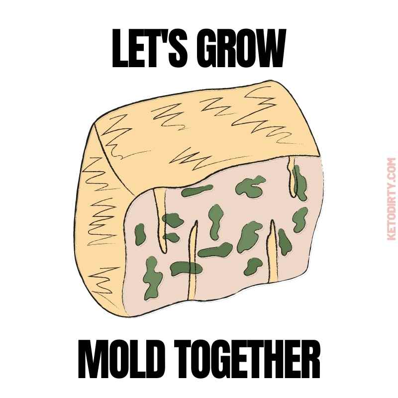 Funny Cheese Memes - 30+ Laughs for the Cheesy cheese mold meme