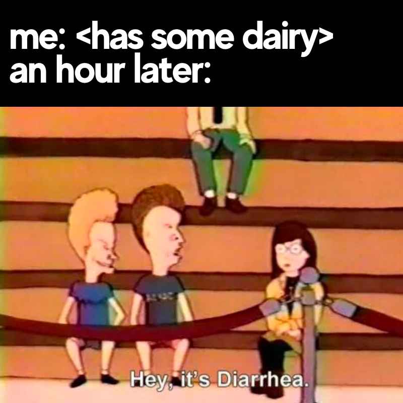 dairy diarrhea meme lactose intolerant