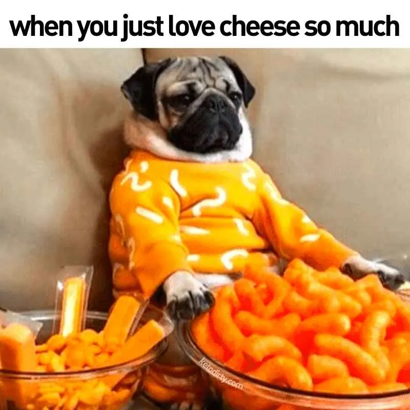 love cheese meme when you just love cheese so much