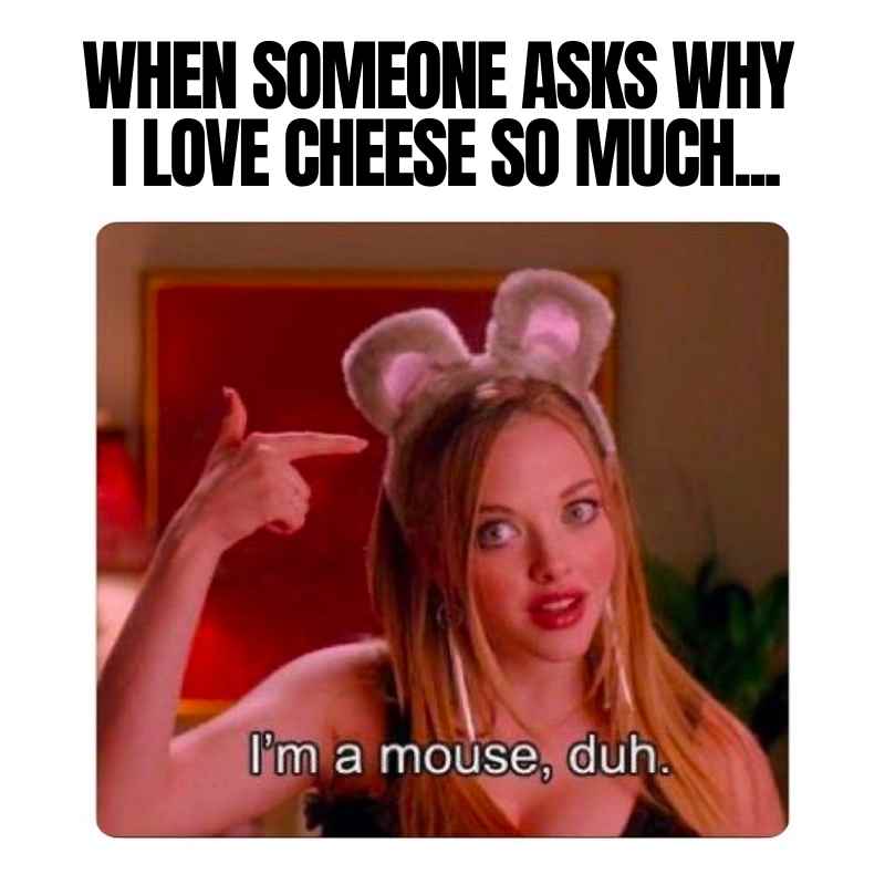 Funny Cheese Memes - 30+ Laughs for the Cheesy mean girls im a mouse meme