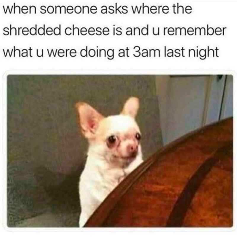 Funny Cheese Memes - 30+ Laughs for the Cheesy shredded cheese memes when someone asks where the shredded cheese is and you remember what you were doing at 3am last night