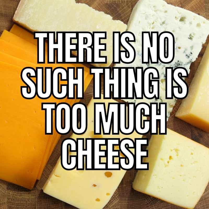 Funny Cheese Memes - 30+ Laughs for the Cheesy too much cheese meme