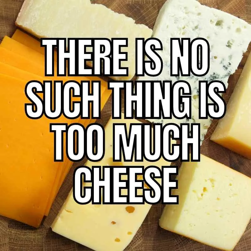 Funny Cheese Memes - 30+ Laughs for the Cheesy 20 too much cheese meme