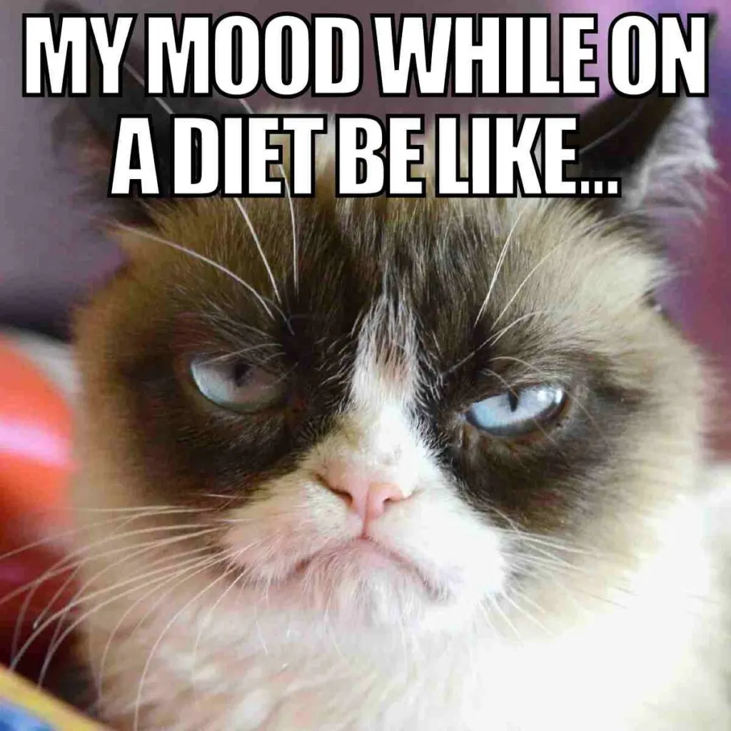 Diet Memes - 35+ Funny Dieting Pictures and Images 21 cat diet memefunny
