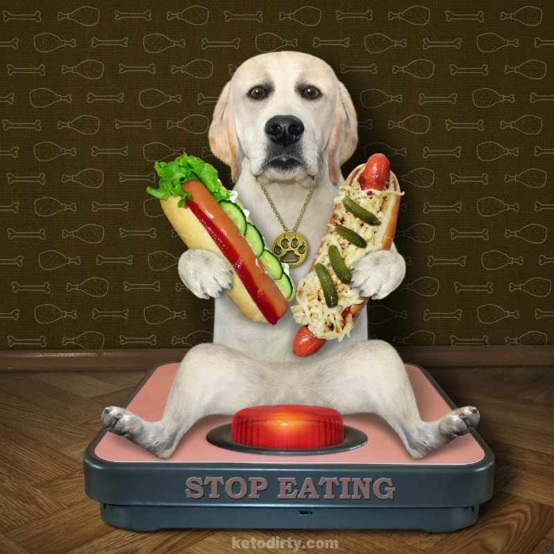 funny diet meme dog on a scale meme