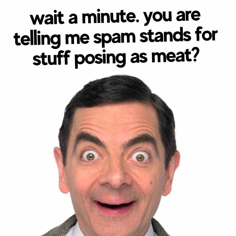 Spam Memes - 15+ Funny Images of Processed Canned Meat funny spam meme wait a minute you are telling me spam stands for stuff posing as meat