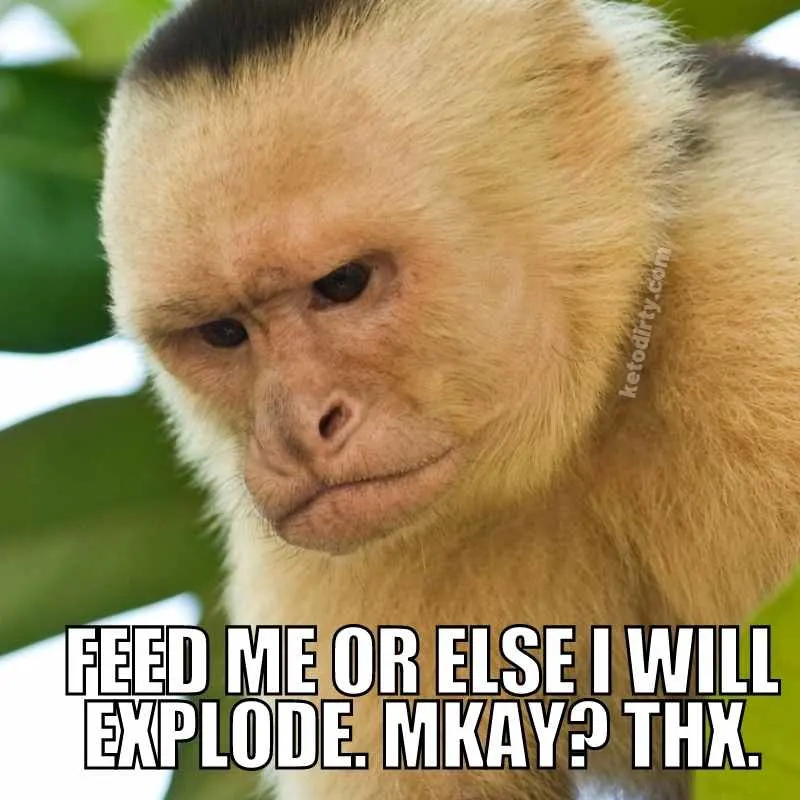 Diet Memes - 35+ Funny Dieting Pictures and Images 10 hangry meme - feed me or else i will explode mkay thank you