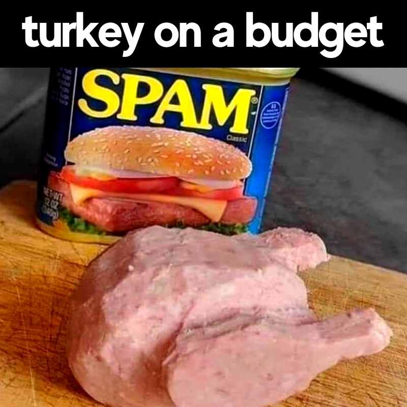 Spam Memes - 15+ Funny Images of Processed Canned Meat spam turkey meme turkey on a budget