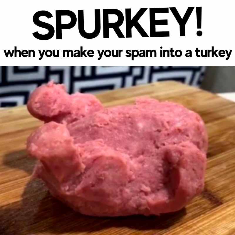 Spam Memes - 15+ Funny Images of Processed Canned Meat spurkey spam turkey meme