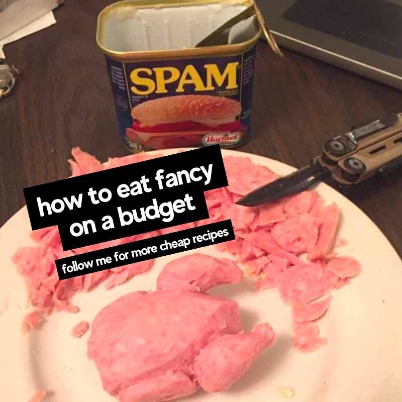 Spam Memes - 15+ Funny Images of Processed Canned Meat turkey spam meme how to eat fancy on a budget follow me for more recipes