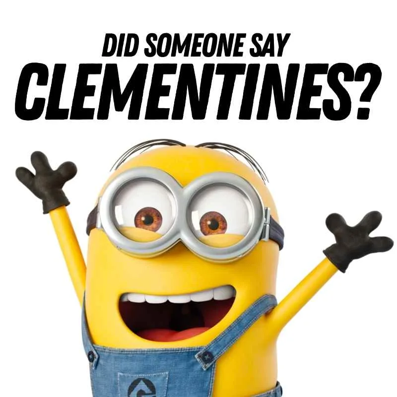 keto clementines meme - did someone say clementines