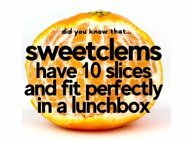 sweetclems have 10 slices