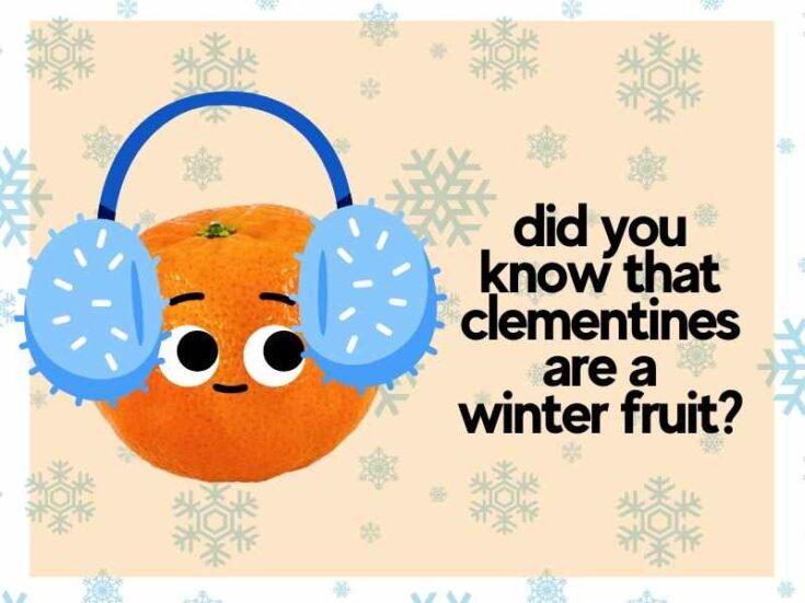 Are Clementines Keto Friendly? 5 Fascinating Facts To Know