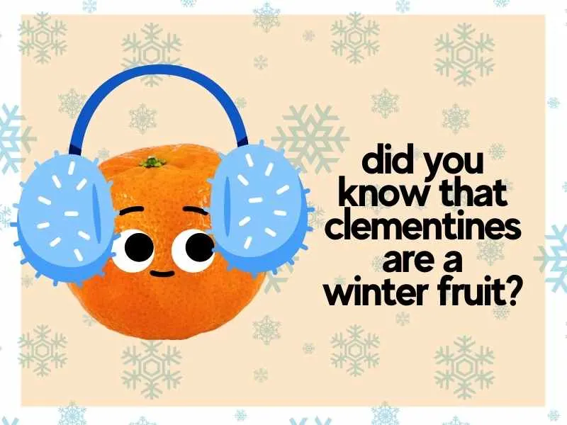 Are Clementines Keto Friendly? 5 Interesting Things to Know 6 when are clementines in season