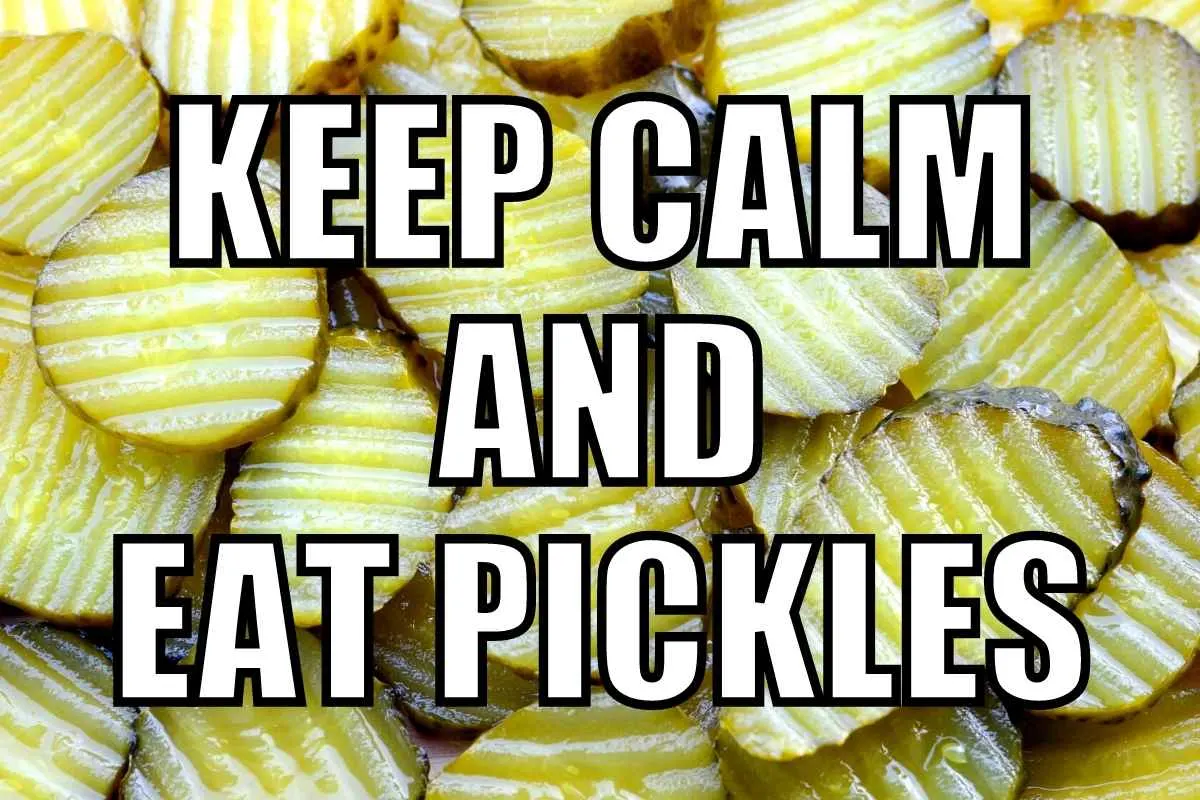 Pickle Memes and Puns - 20+ Funny Images That Are a Big Dill 6 keep calm eat pickles meme