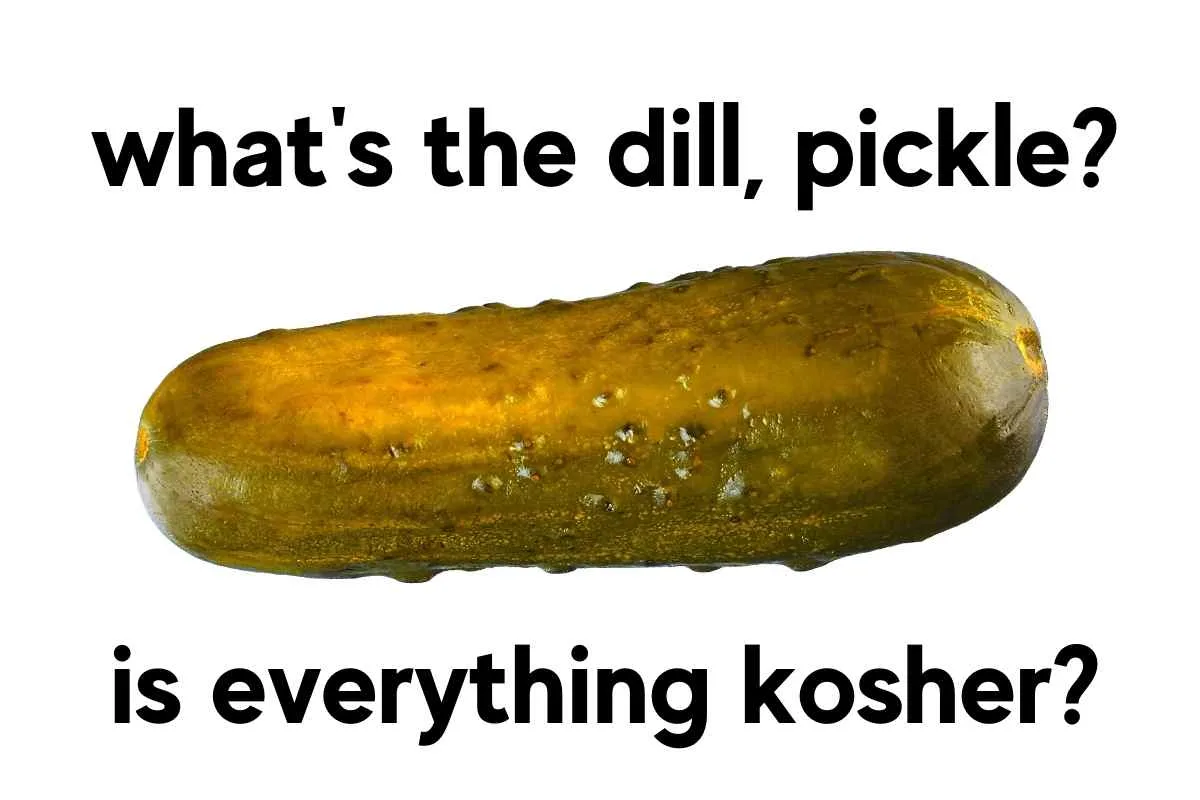what the dill pickle, is everything kosher pickle meme
