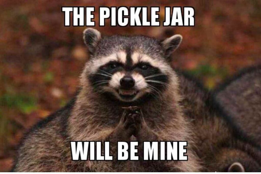 the pickle jar will be mine