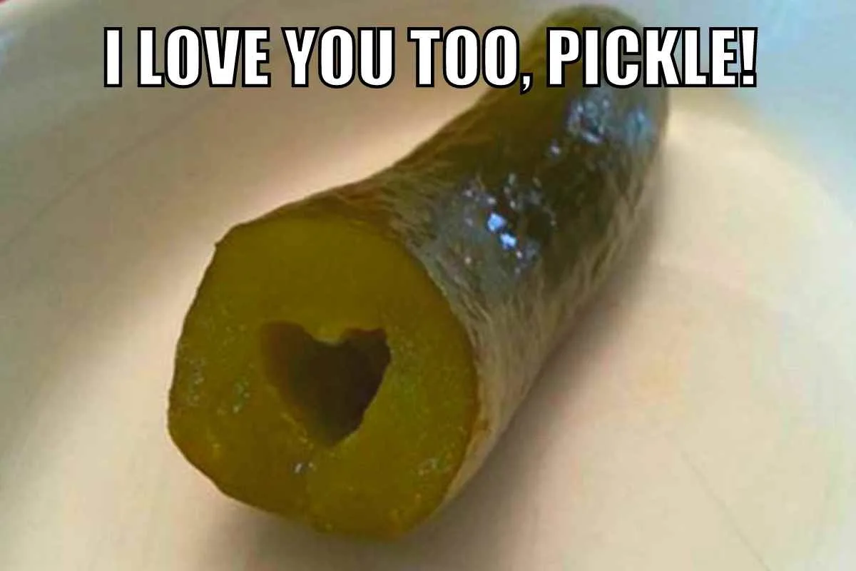 i love you too pickle 
